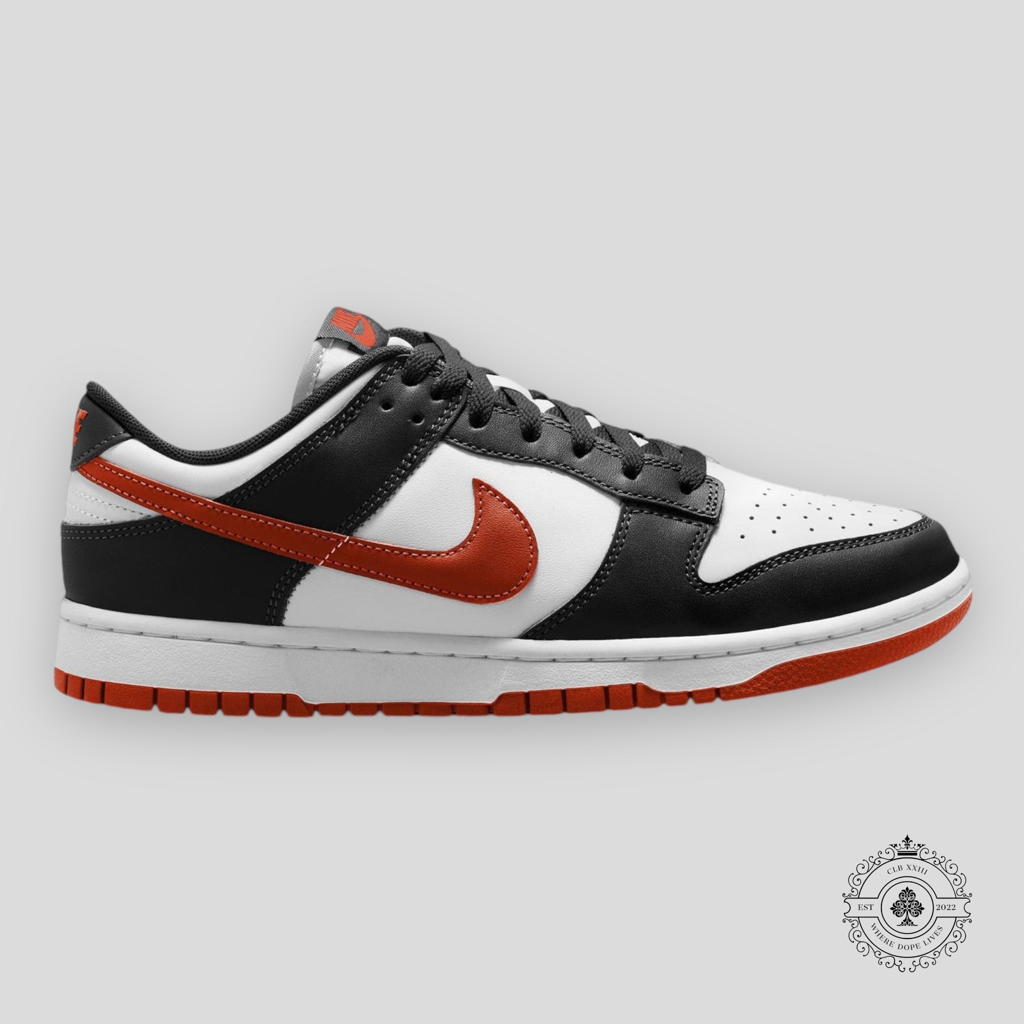 Nike Dunk Low Retro Dragon