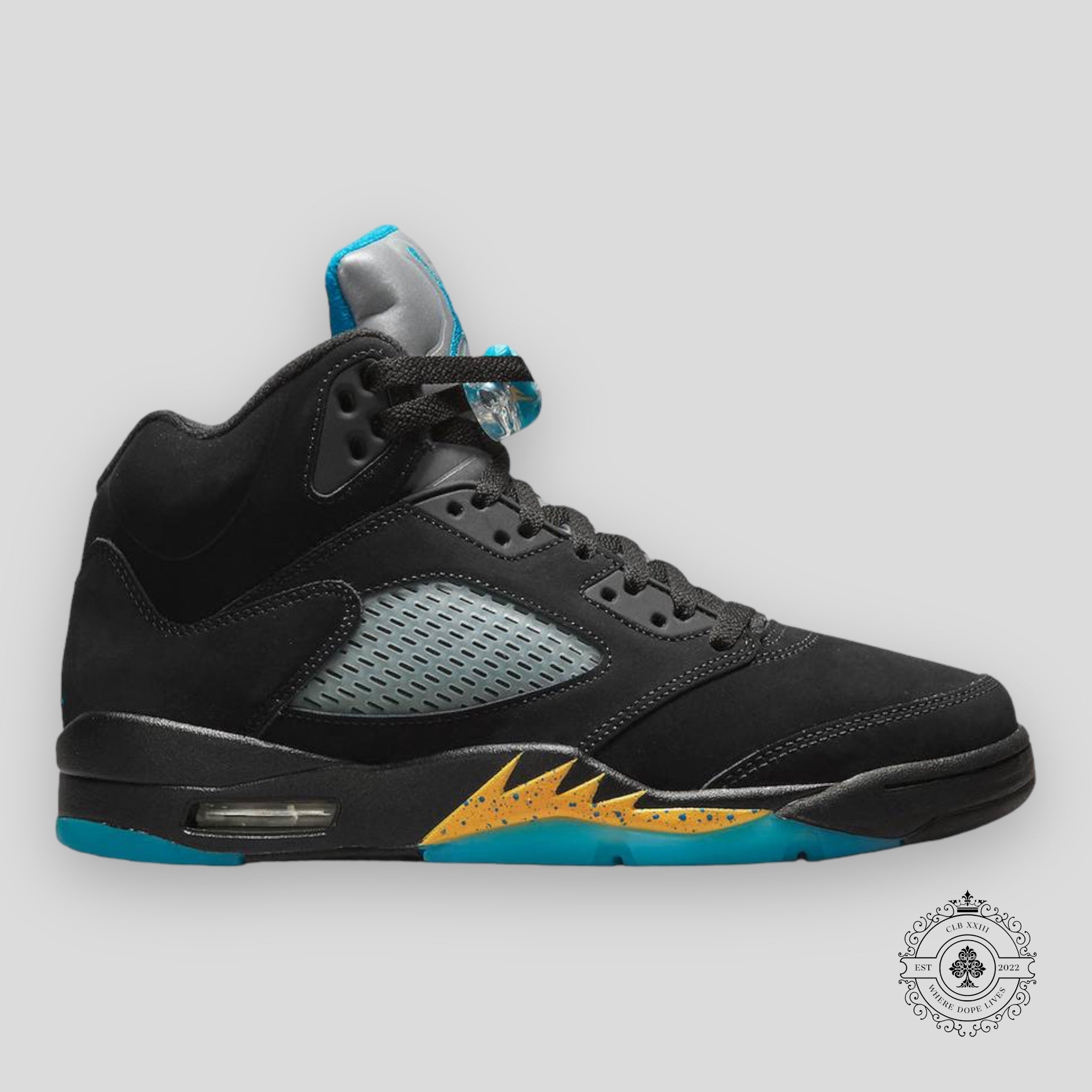Air Jordan 5 Retro Aqua