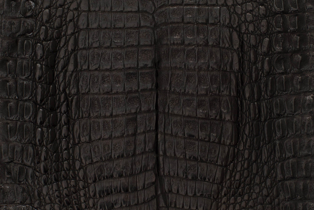 Caiman