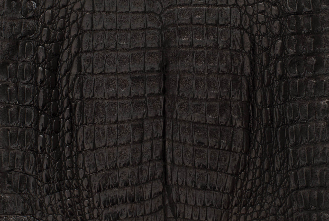 Caiman