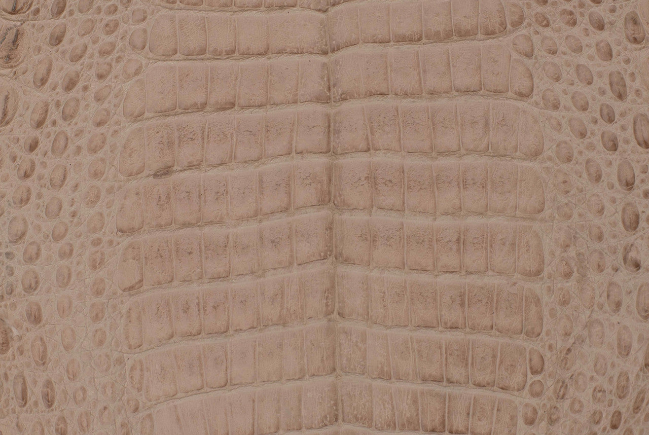 Caiman