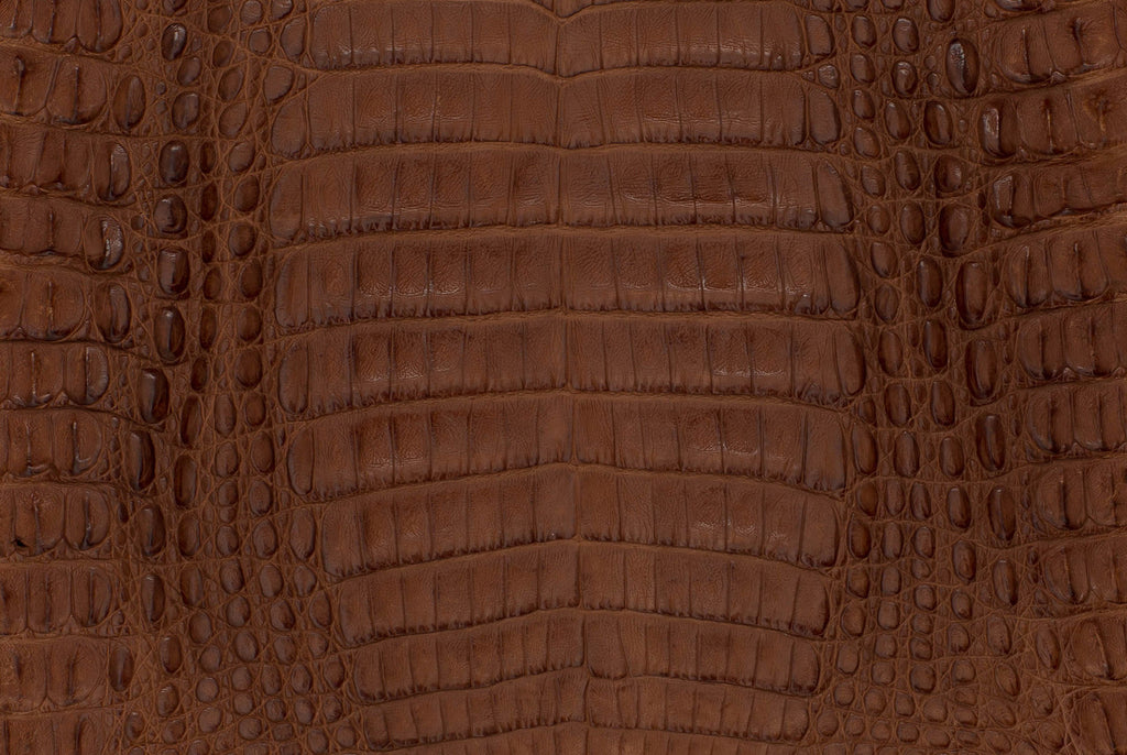 Caiman