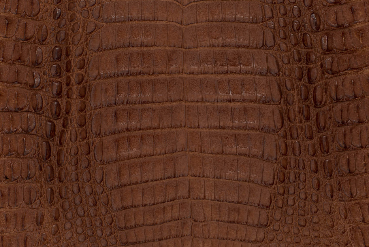 Caiman