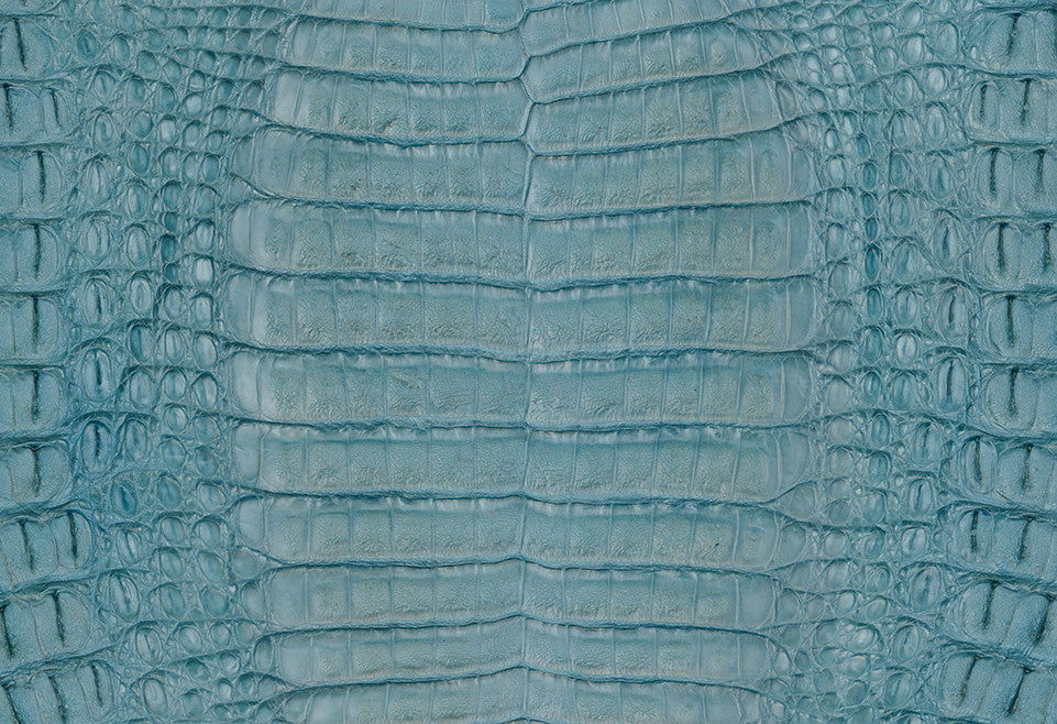 Caiman