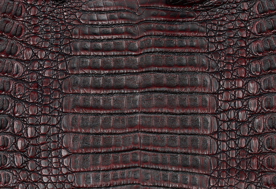Caiman