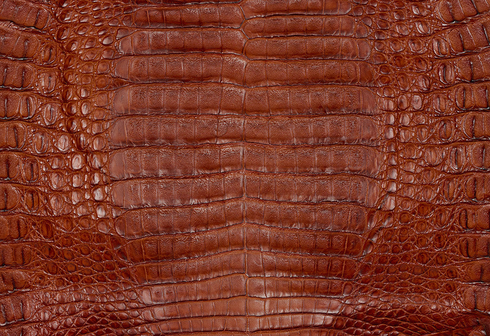 Caiman