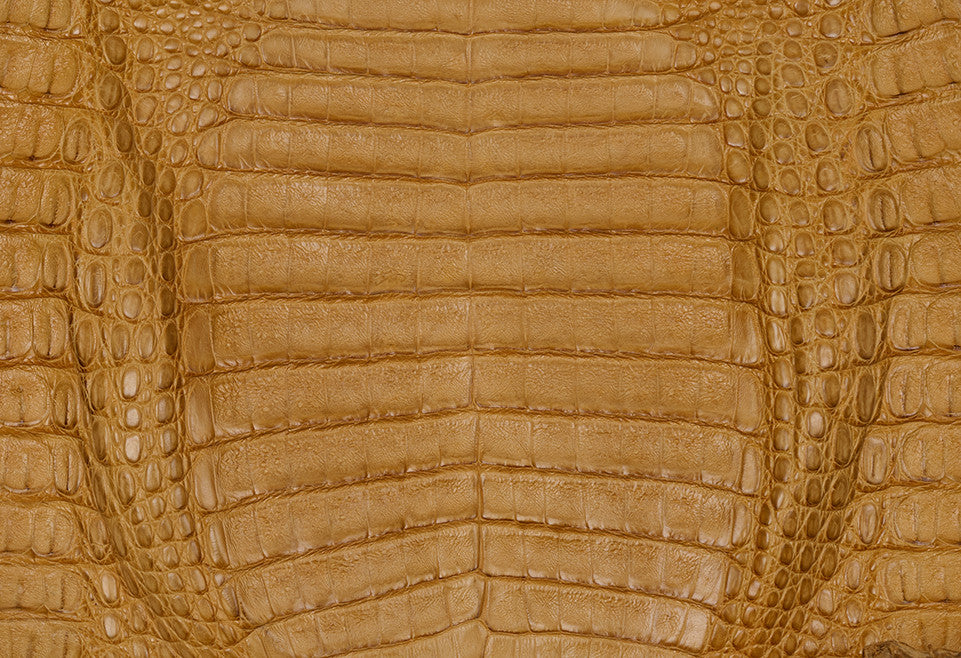 Caiman