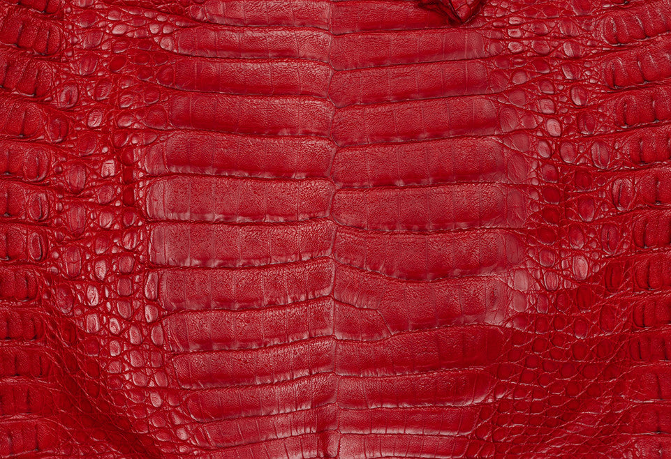 Caiman