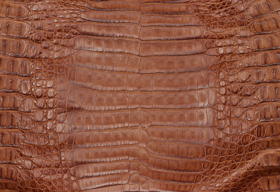 Caiman