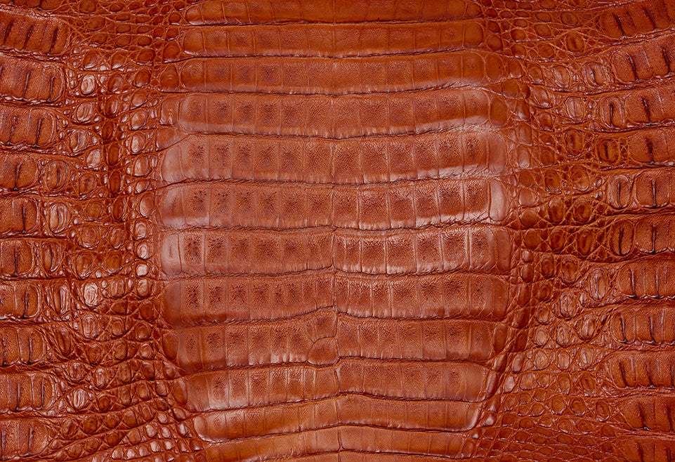 Caiman