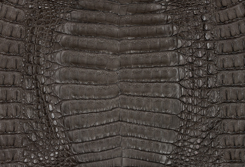 Caiman