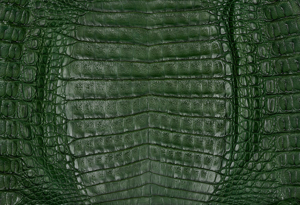 Caiman