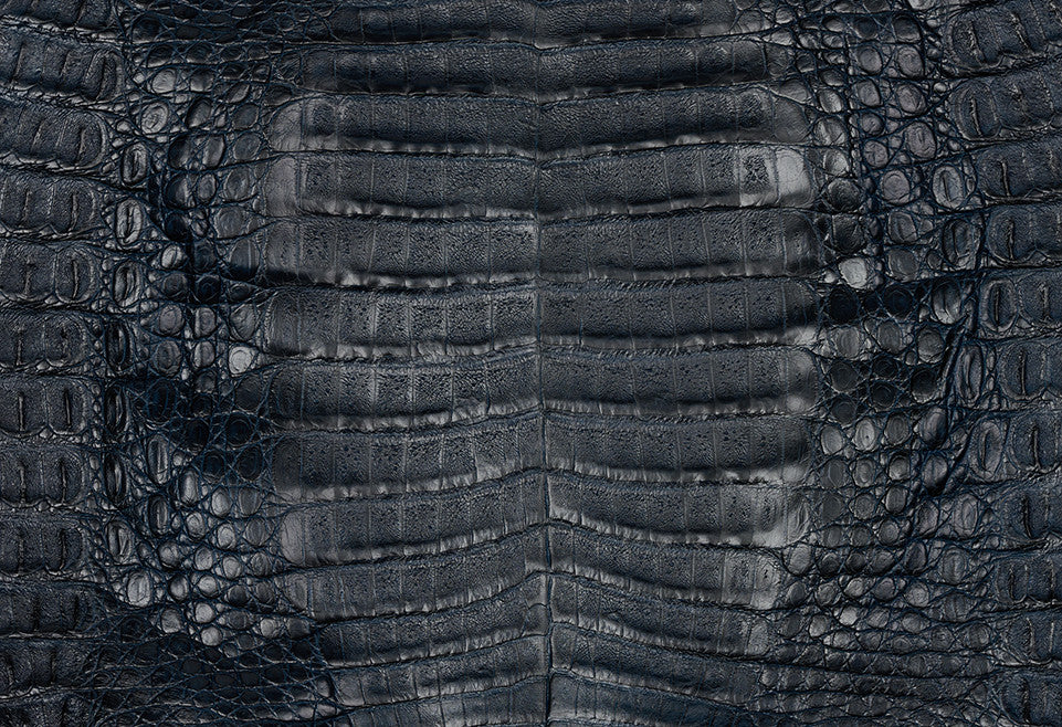 Caiman