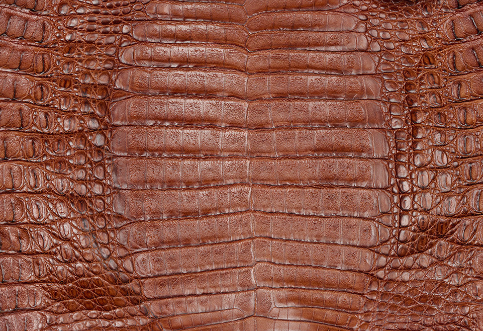 Caiman