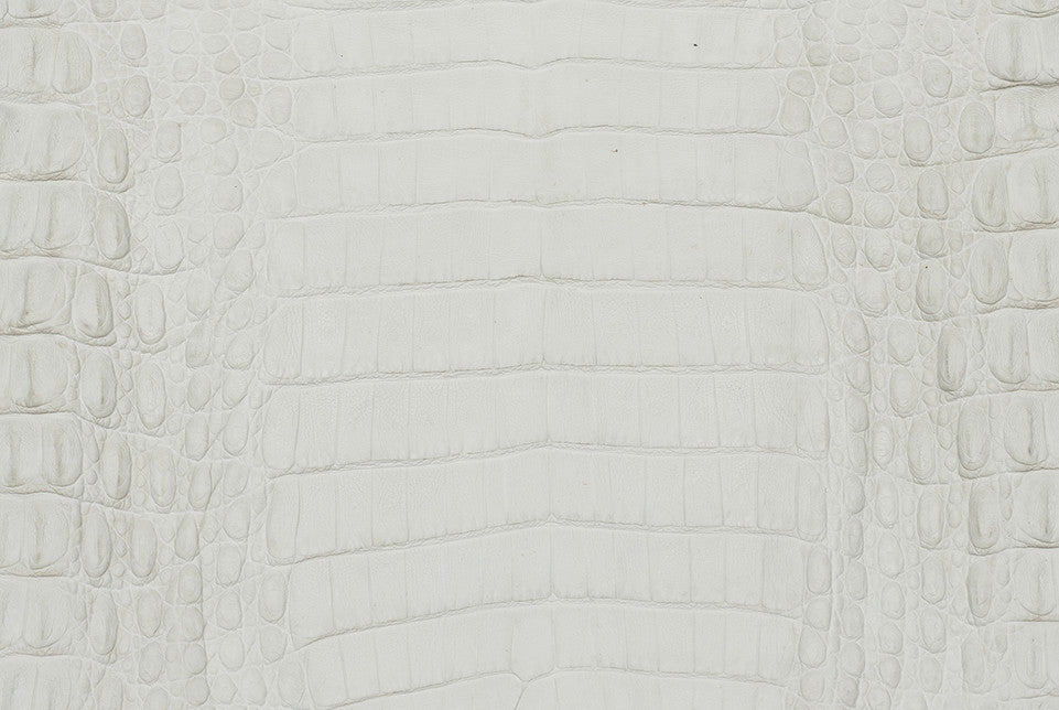 Caiman