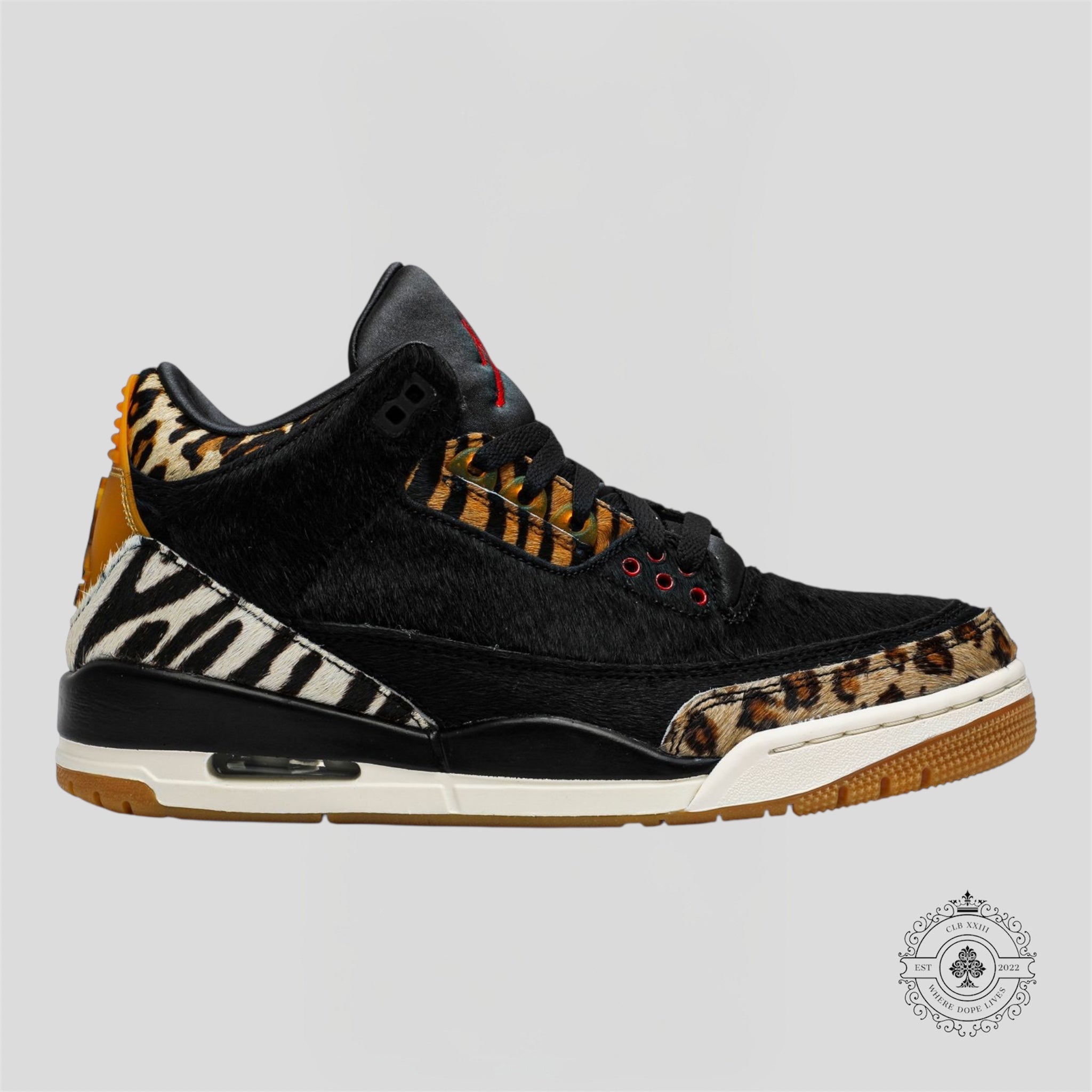 Air Jordan 3 Retro SE Animal Instinct