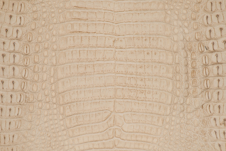 Caiman