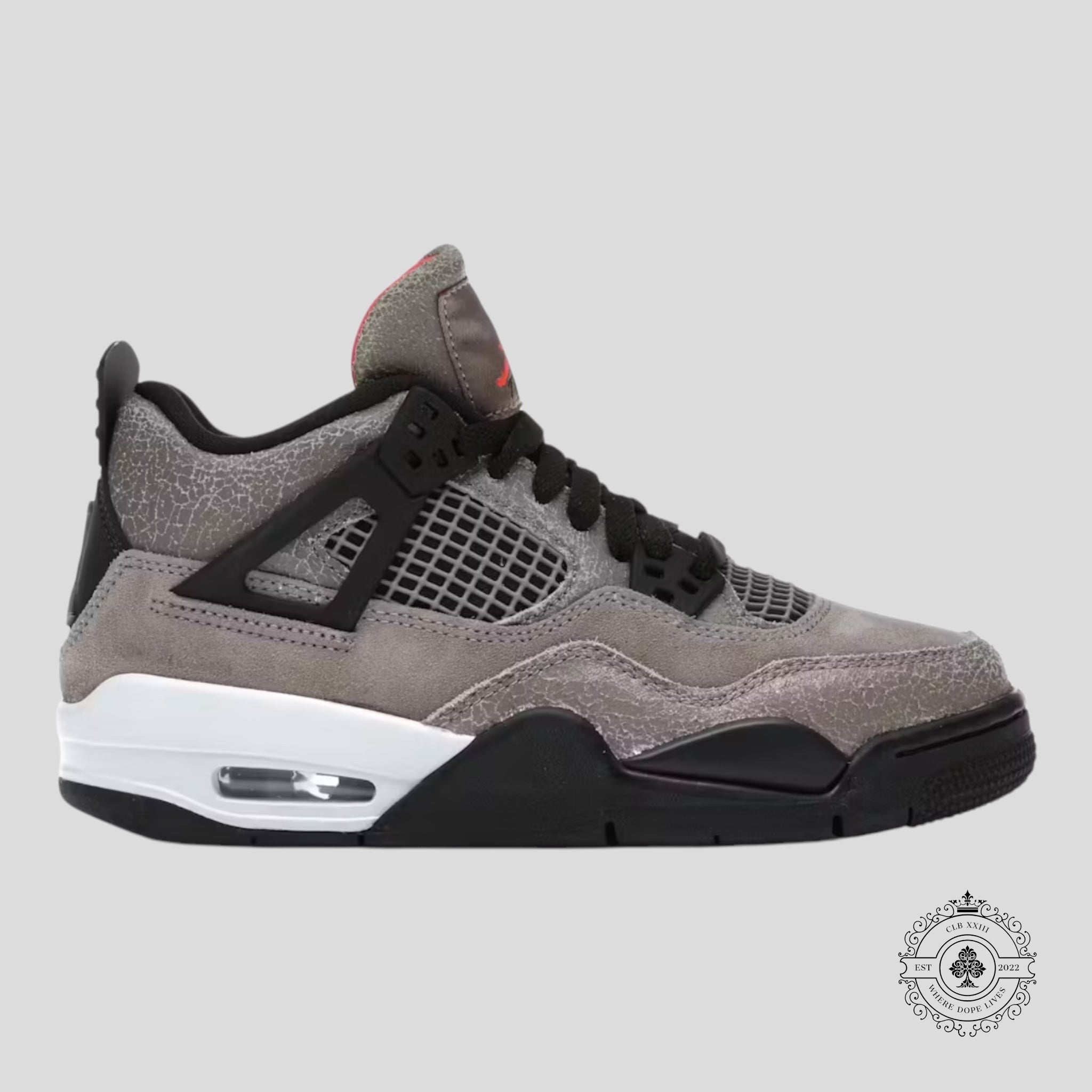 Air Jordan 4 Retro Taupe Haze (GS)
