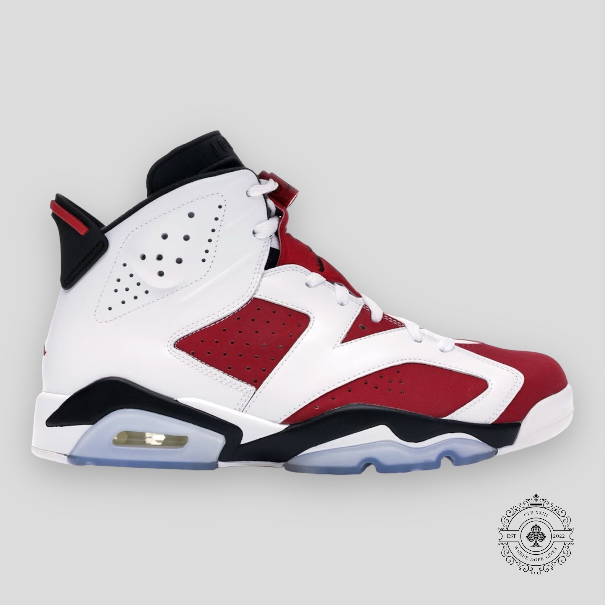 Air Jordan 6 Retro Carmine (2014)