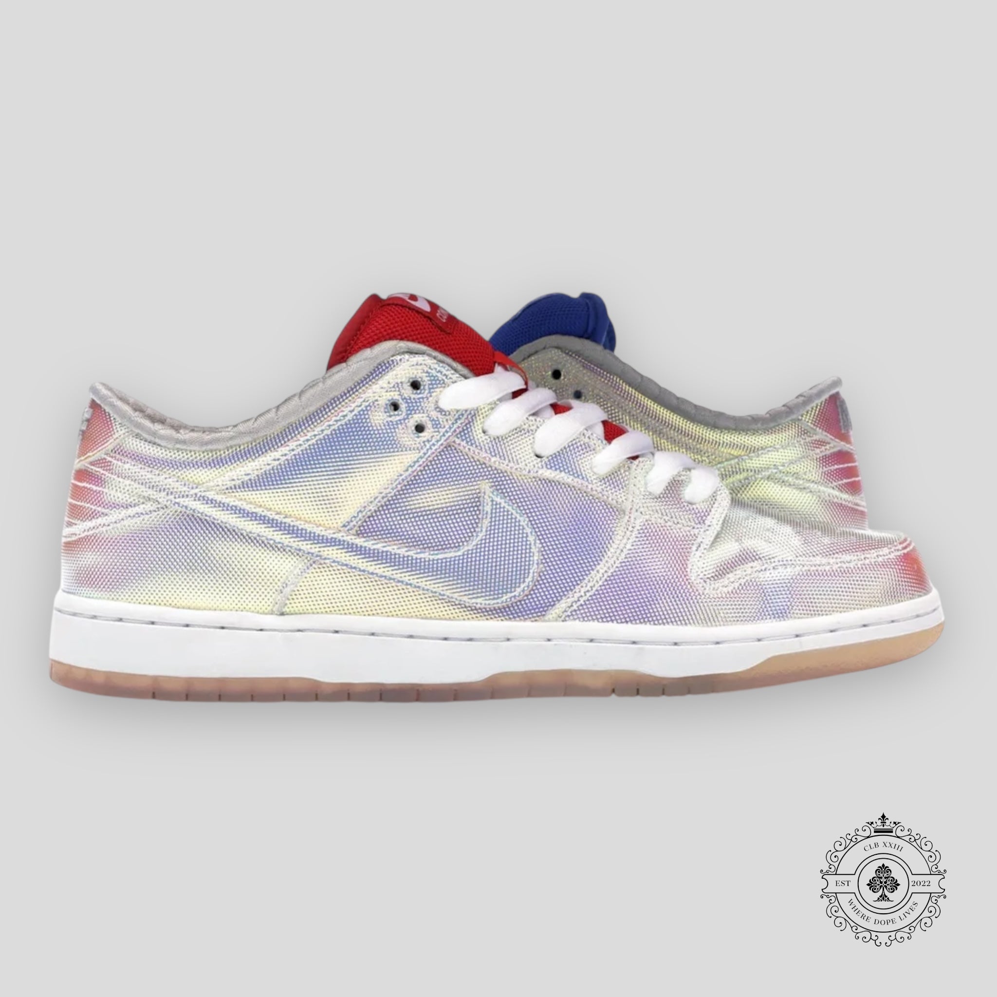 Nike SB Dunk Low Concepts Grails