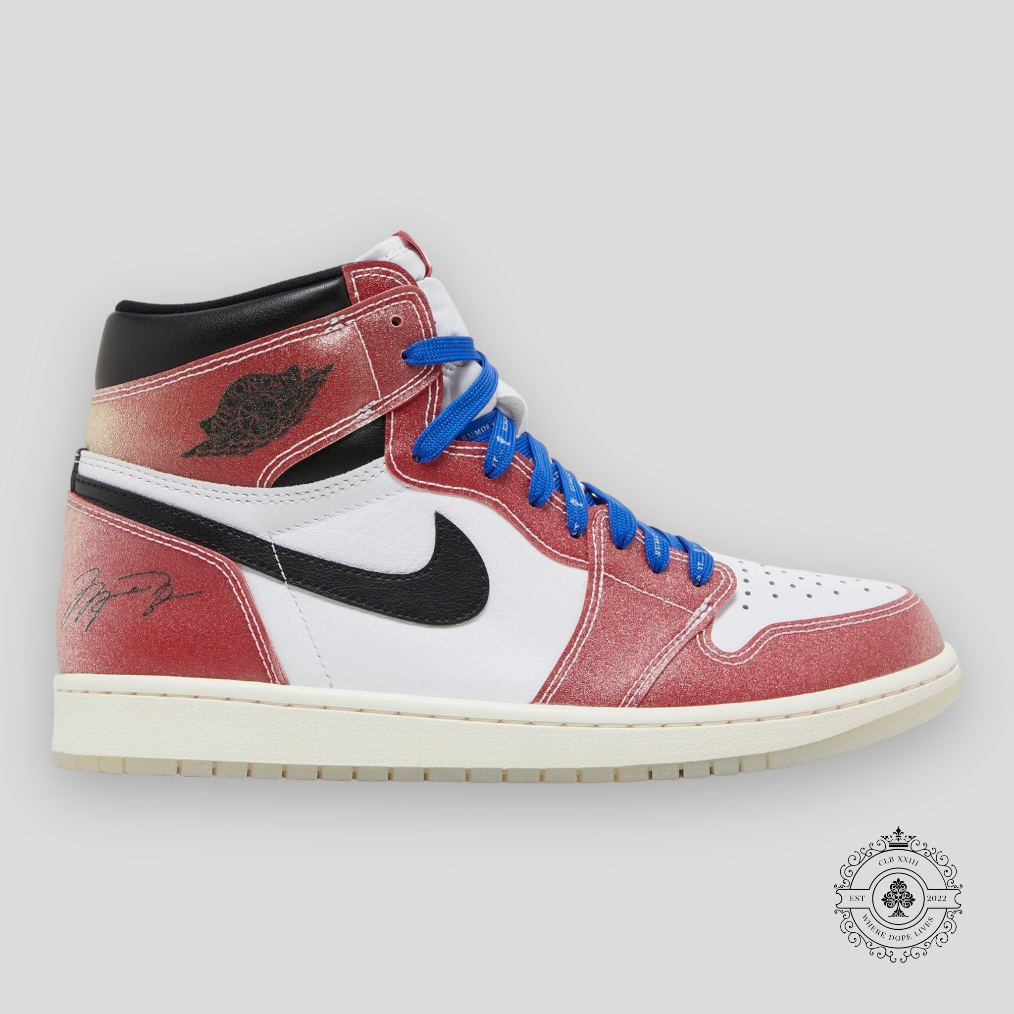 Air Jordan 1 Retro High Trophy Room Chicago (Friends & Family)