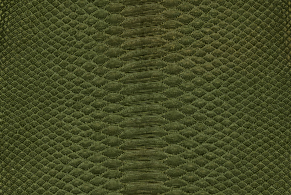 Python