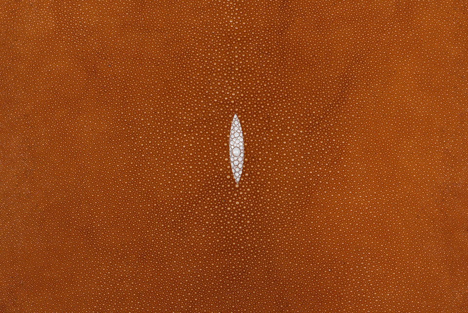 Stingray