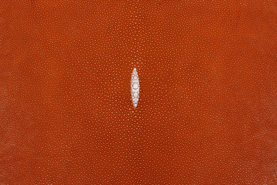 Stingray