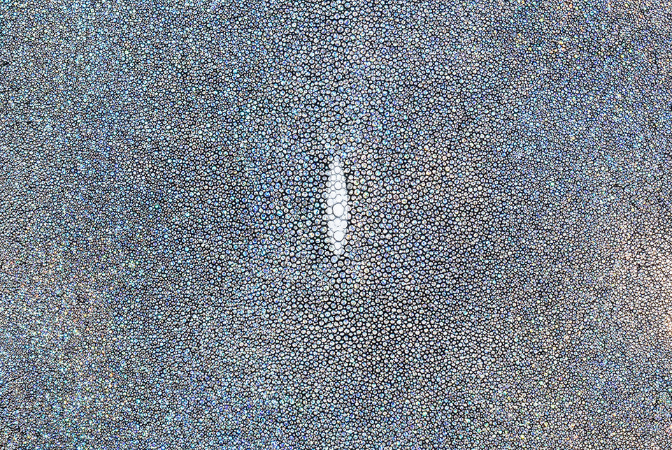 Stingray