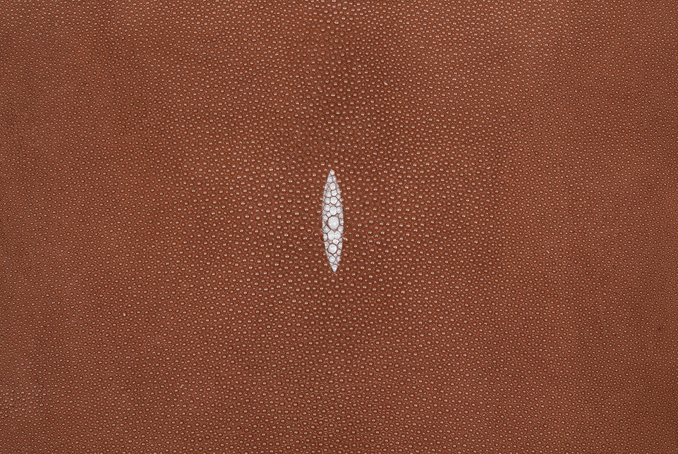 Stingray