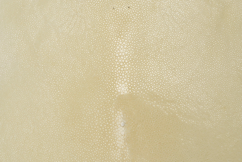 Stingray