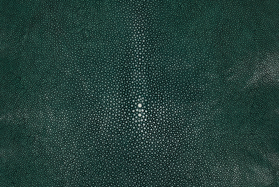 Stingray