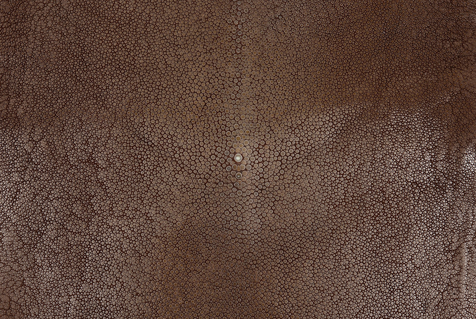 Stingray