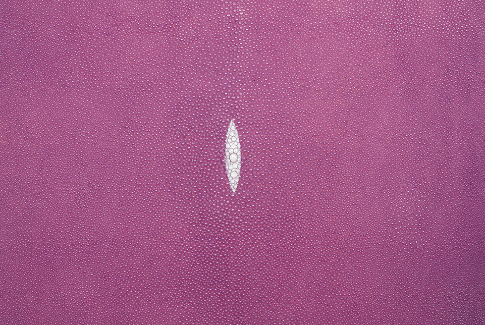 Stingray