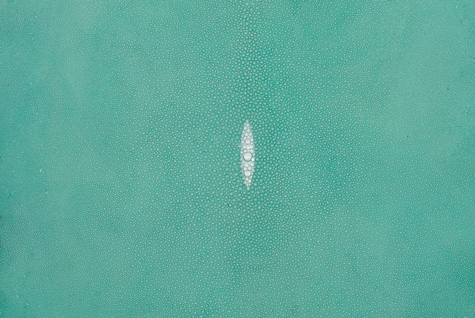 Stingray