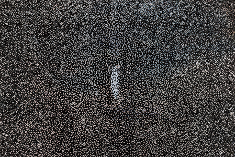 Stingray