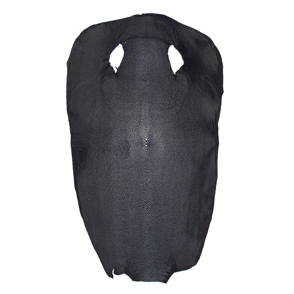 Stingray