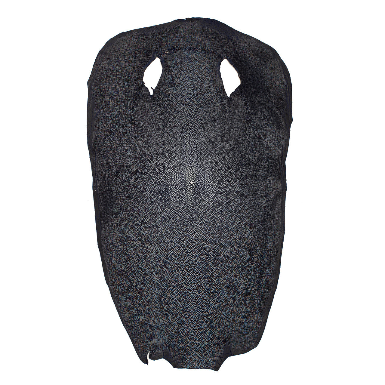 Stingray