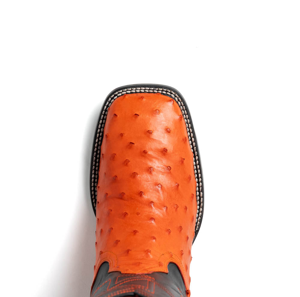 Alabama Orange