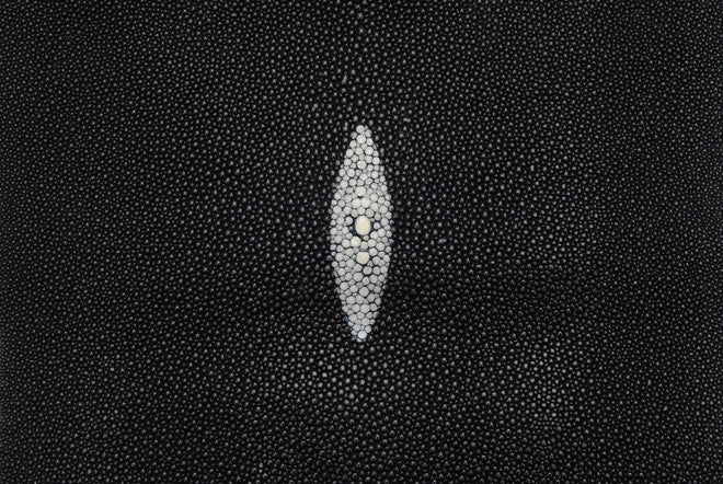 Stingray