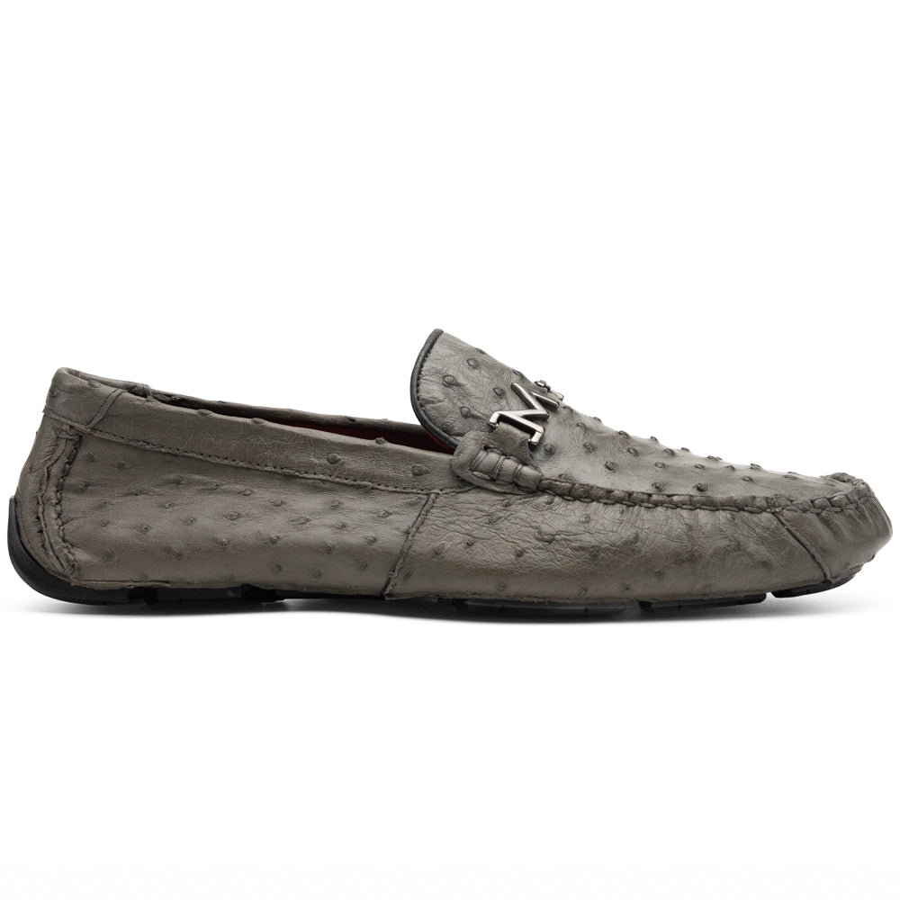 Bolonia Gray
