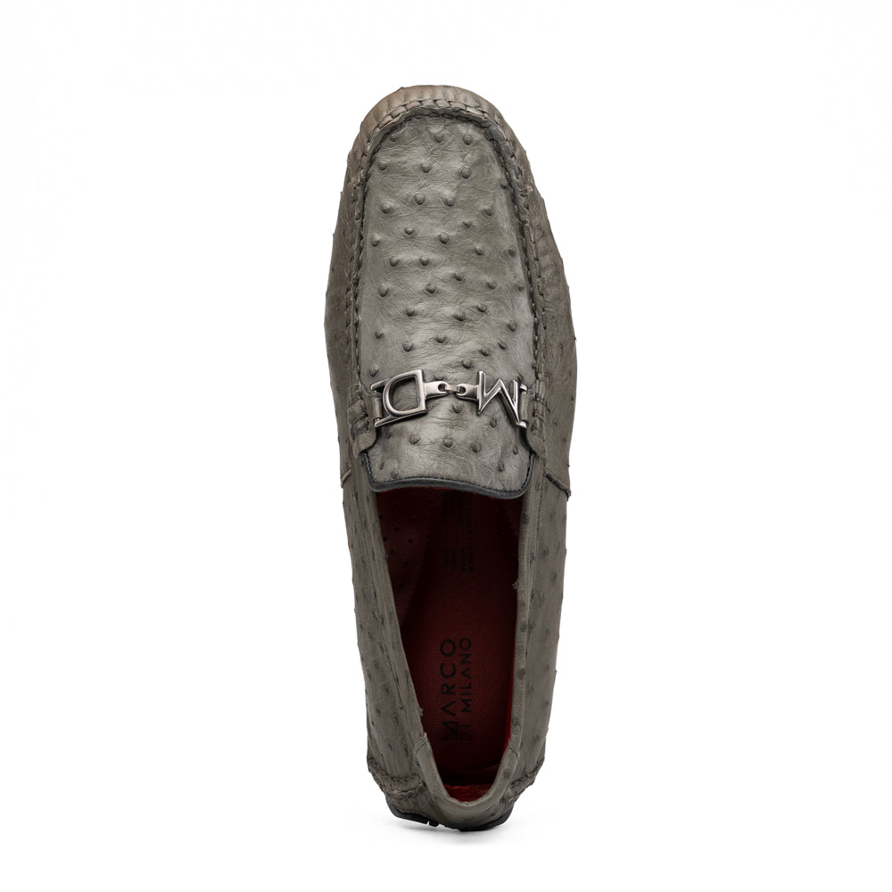 Bolonia Gray