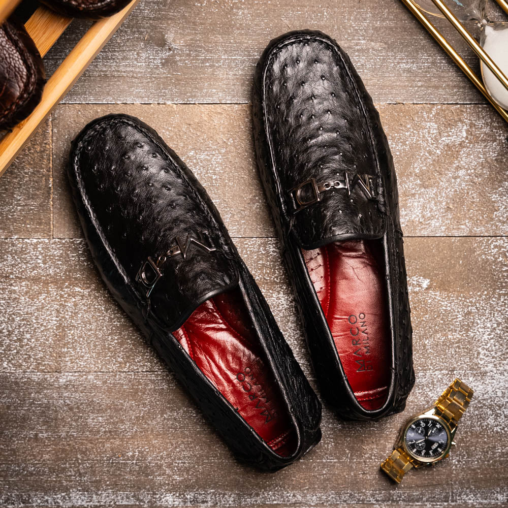 Bolonia Black