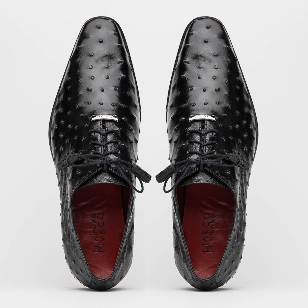 Criss Black