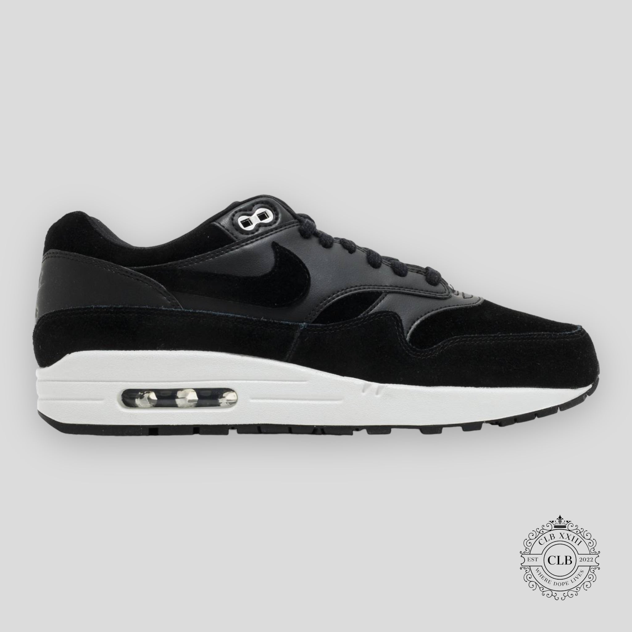 NIKE AIR MAX 1 "REBEL SKULLS"