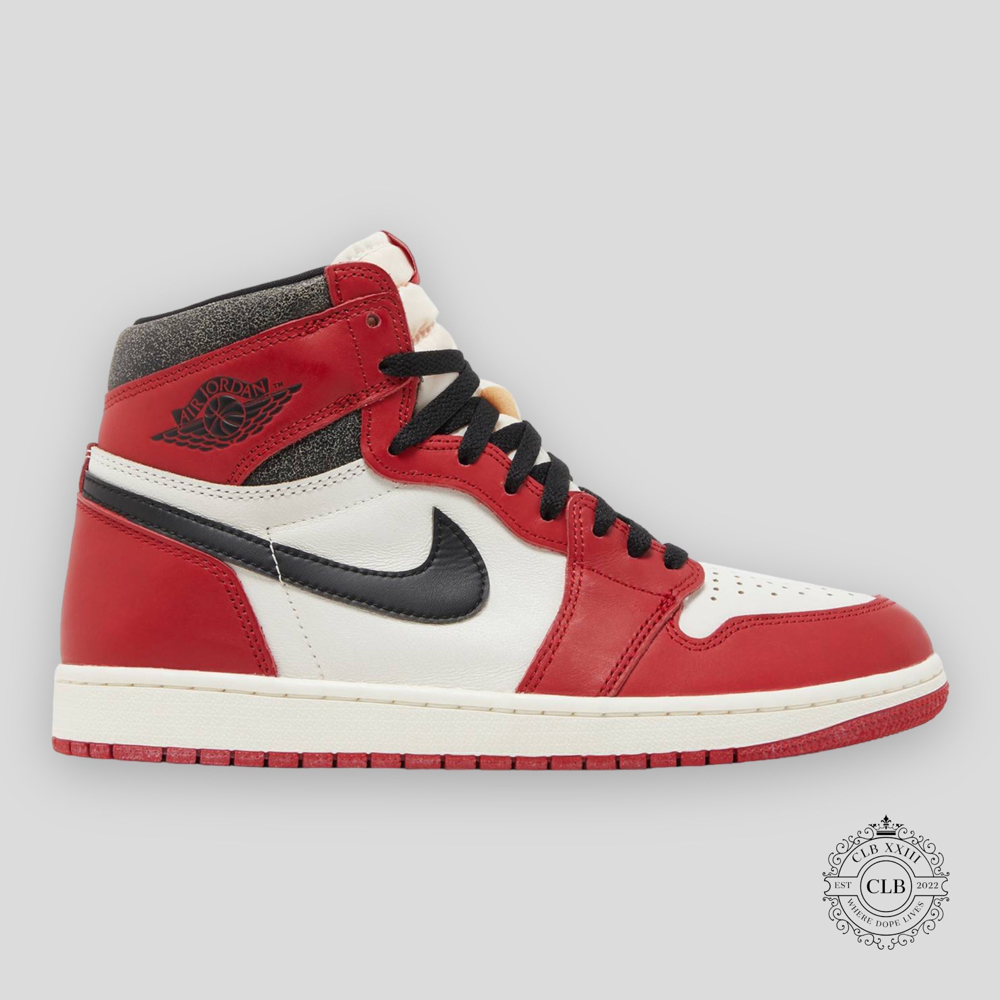 Air Jordan 1 Retro High OG "Lost & Found"