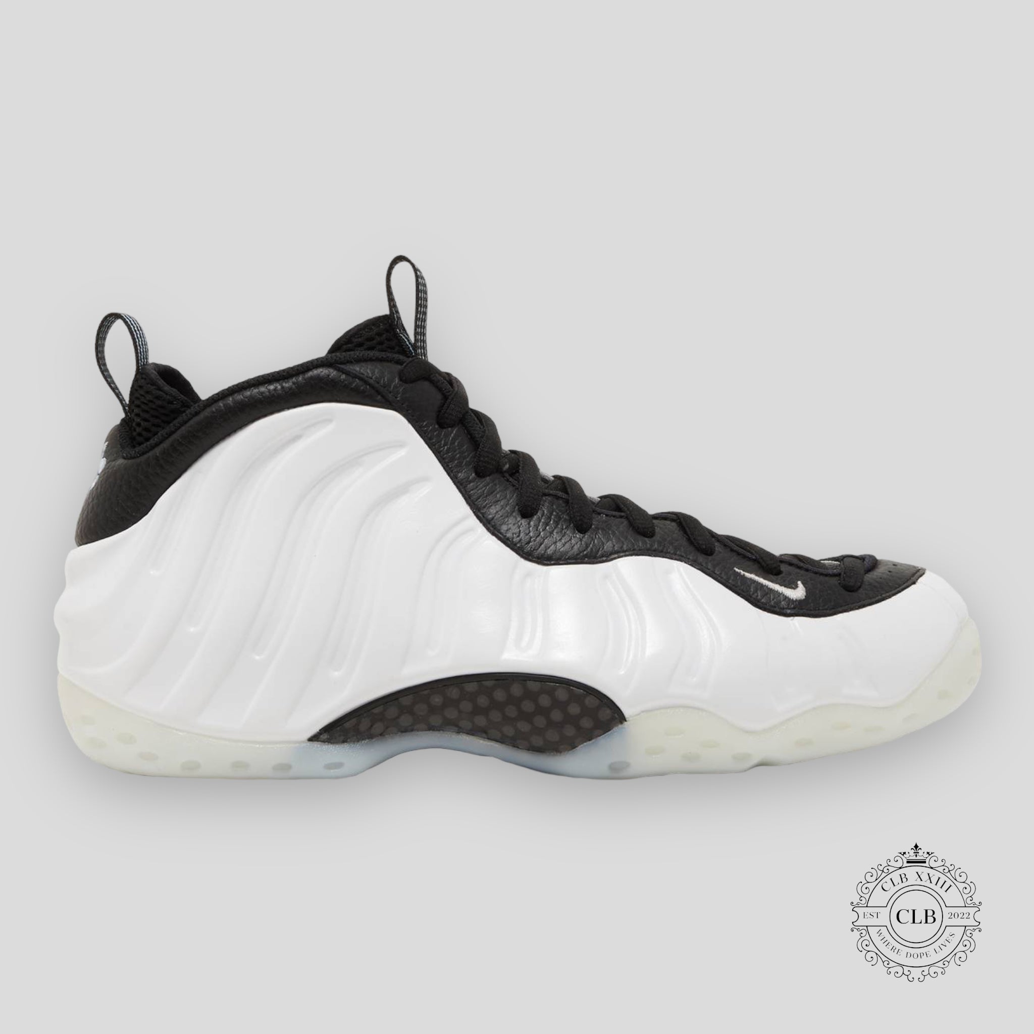 NIKE AIR FOAMPOSITE ONE "PENNY PE"