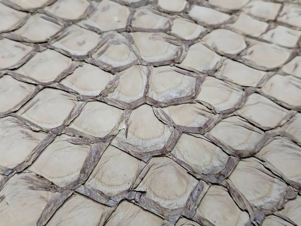 Pirarucu