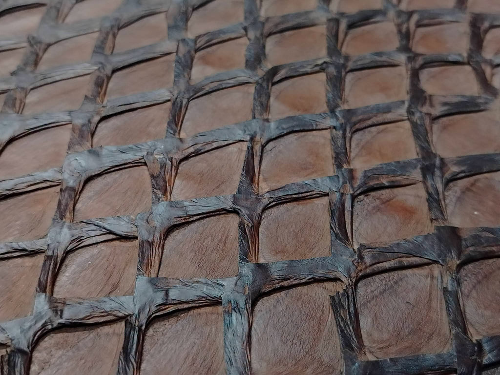 Pirarucu